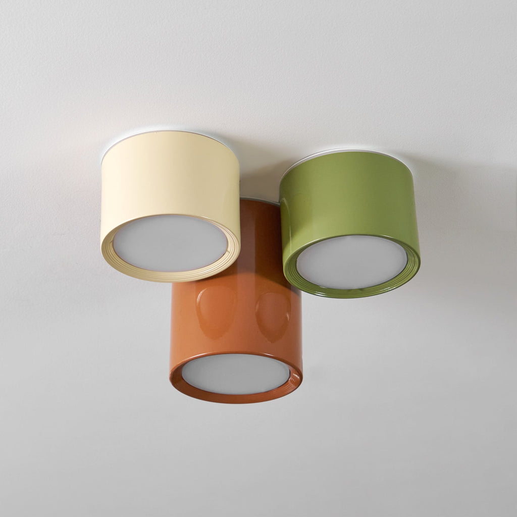 Aria Lampada da Soffitto Combinata Colorata